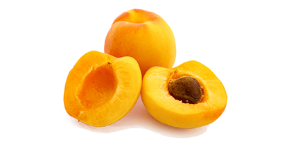 Aprikosen-Samen liegt in dem Aprikosenstein und sieht aus wie eine kleine Mandel
