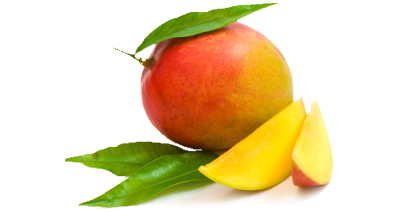 Hier finden Sie die Erntezeiten der Mango im Überblick