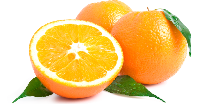 Hier finden Sie die Erntezeiten der Orange im Überblick