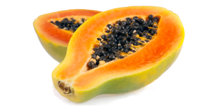 Hier finden Sie die Erntezeiten der Papaya im Überblick