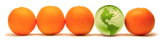 Orangen, Produktportfolio